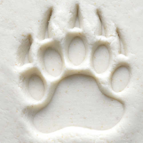 Scm-151 Medium Round Stamp &#8211; Bear Claw