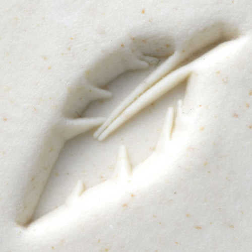 Scm-155 Medium Round Stamp &#8211; Feather