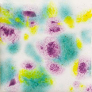 Assorted Jungle Gems - 4 oz. Samples