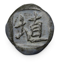 Acai Matte Shino SH-22