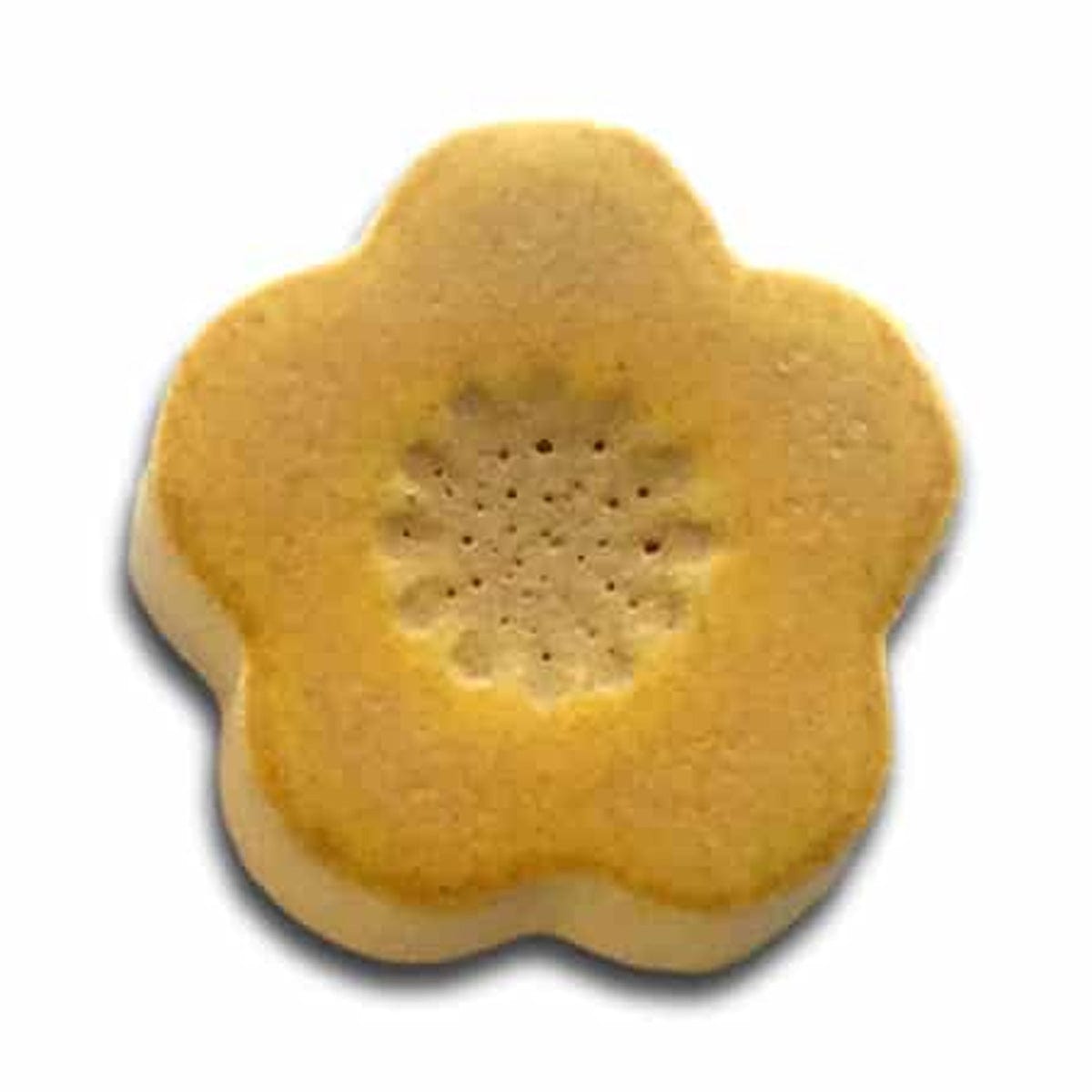 1403 Citron Shino