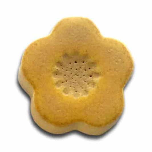 1403 Citron Shino