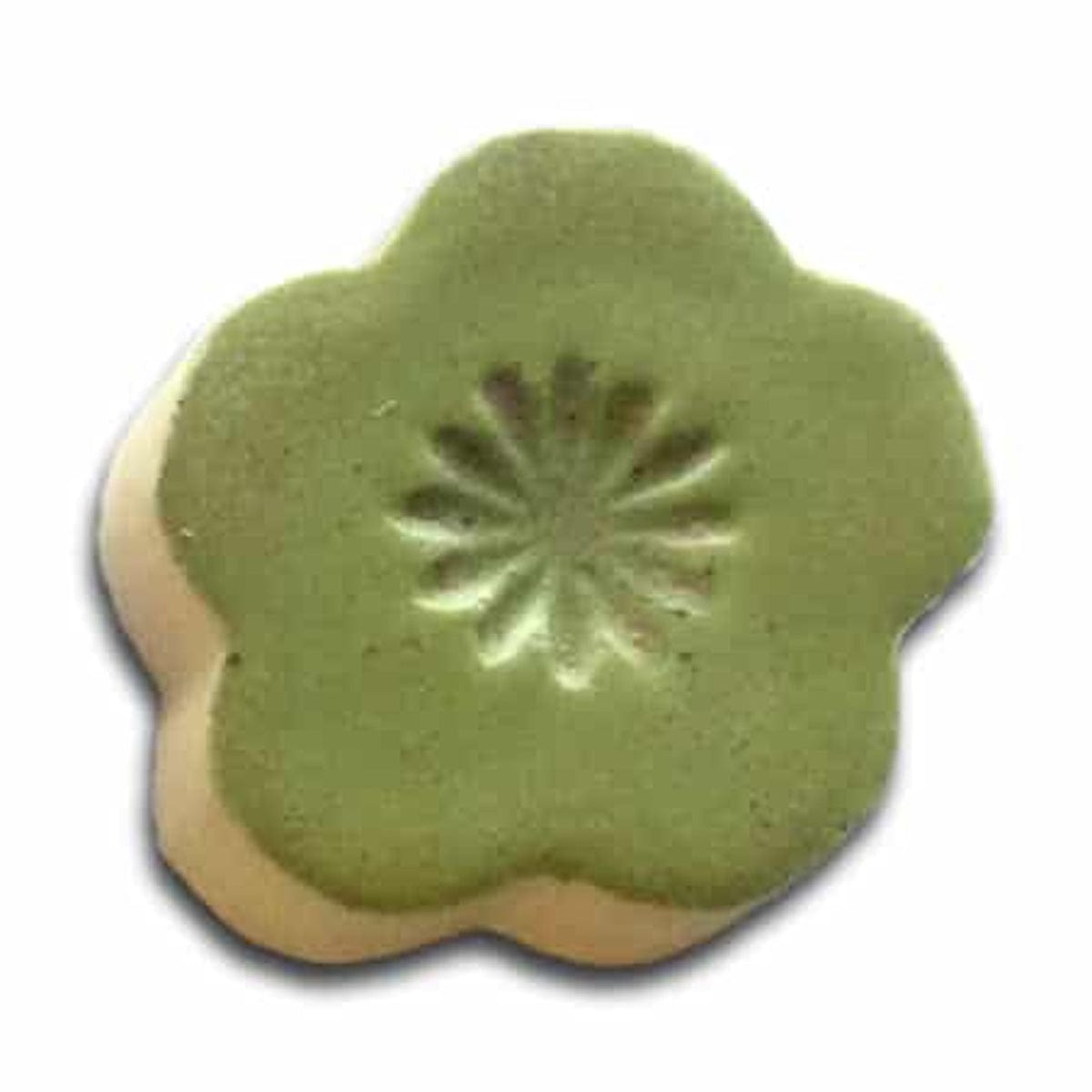 1404 Wasabi Shino