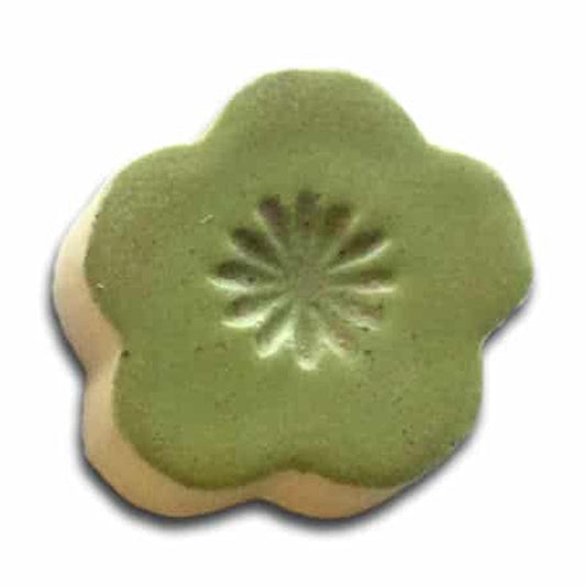 1404 Wasabi Shino