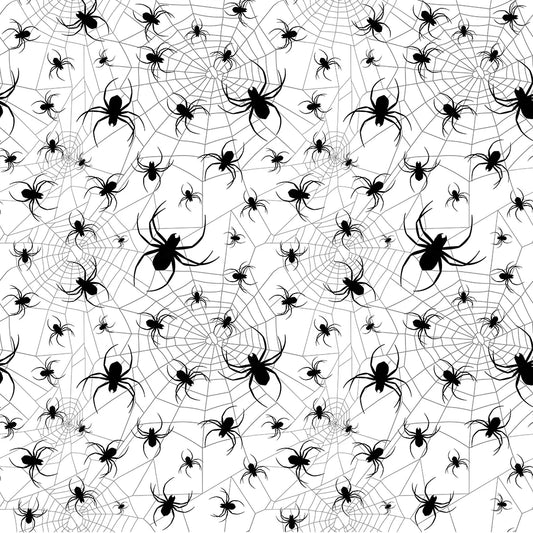 Spider Web
