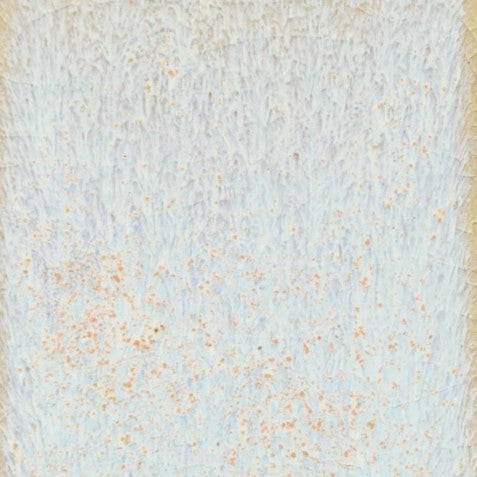 Star Dust