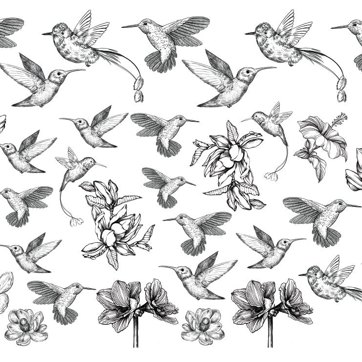 Hummingbird