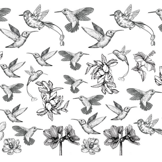 Hummingbird
