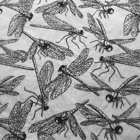 Dragonflies