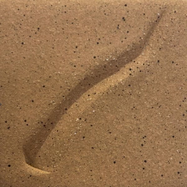 Tuckers CCS (Speckled Buff) Cone 6