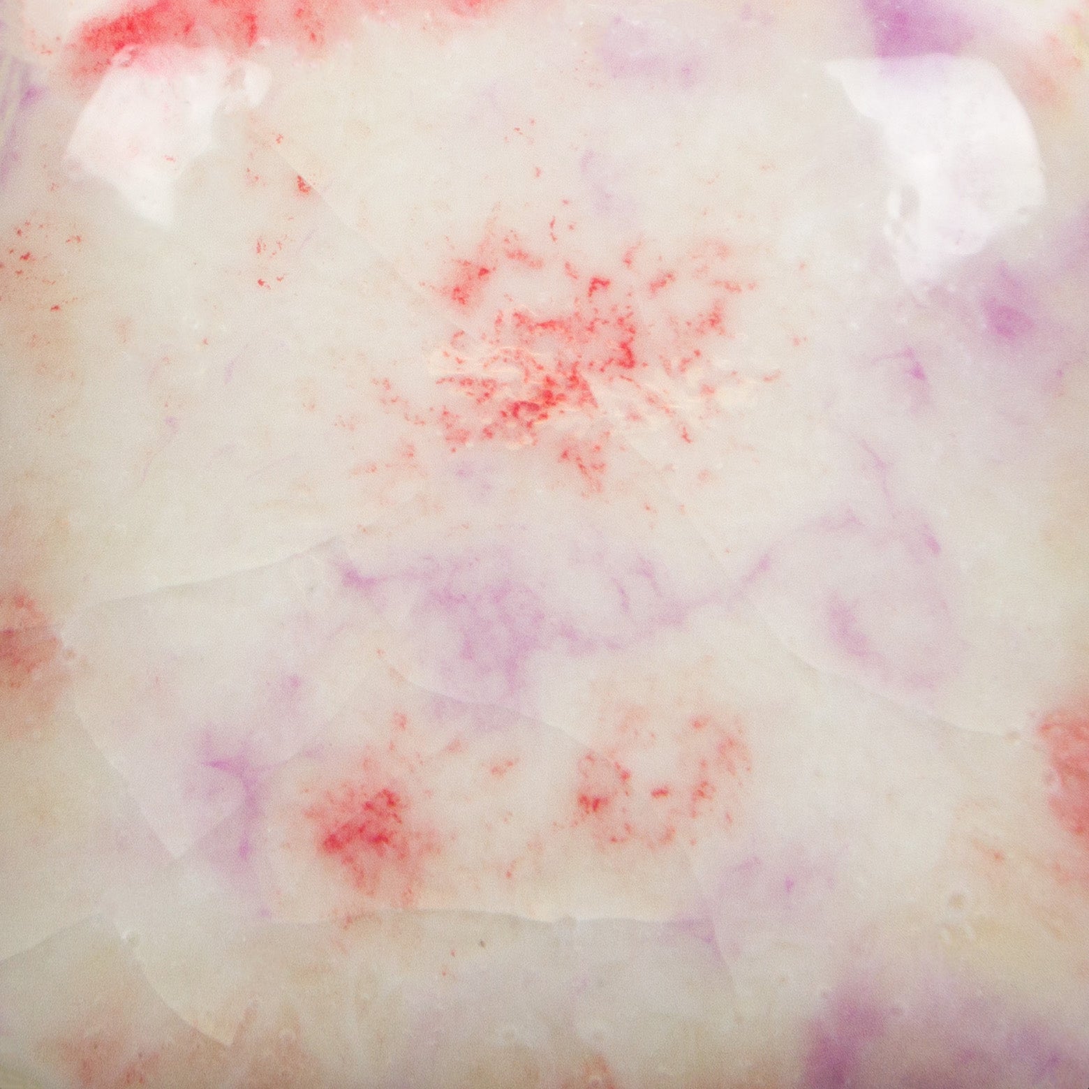 1004 Berry Tart - Great White North Pottery Supplies
