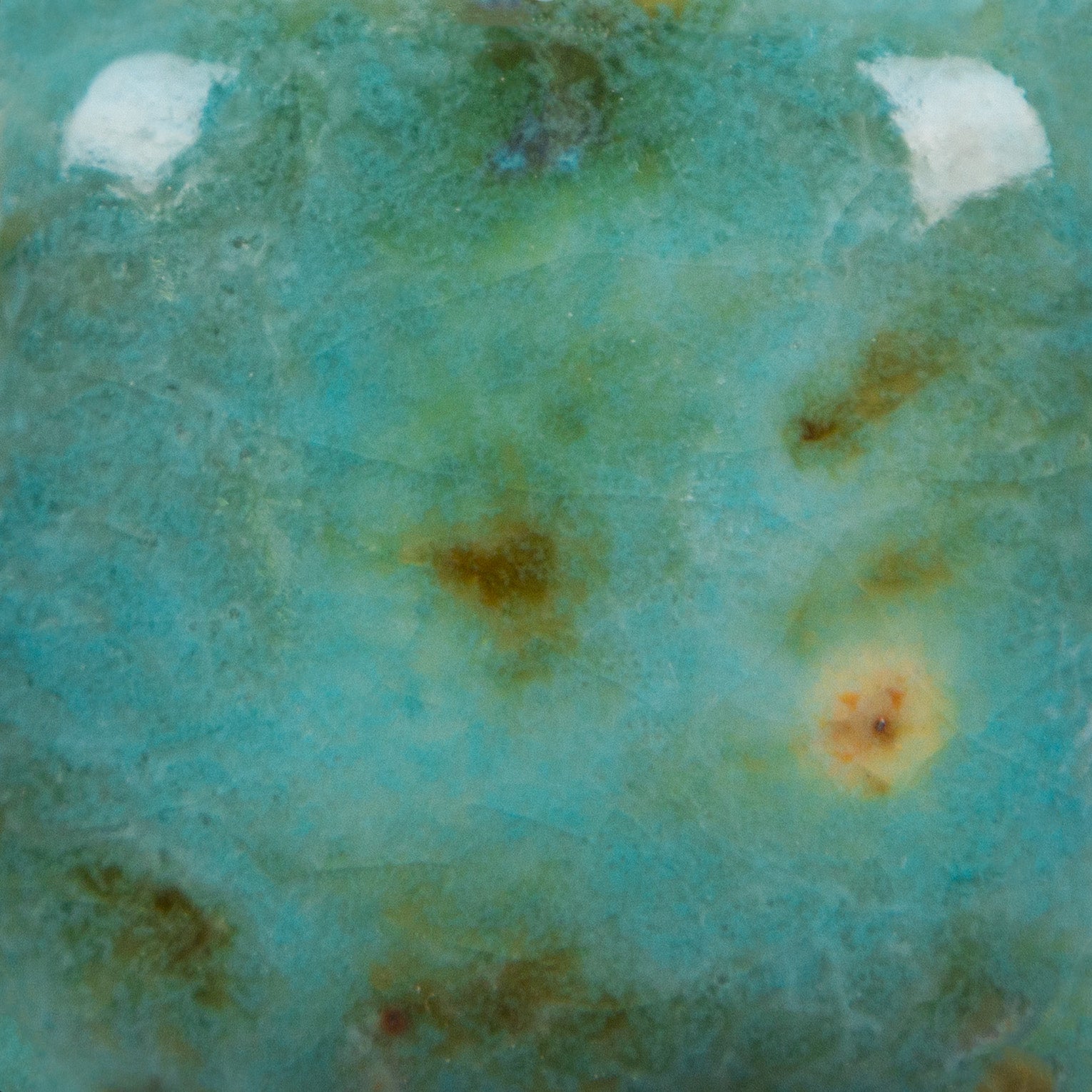 CG1008 Blue Guppy - Great White North Pottery Supplies