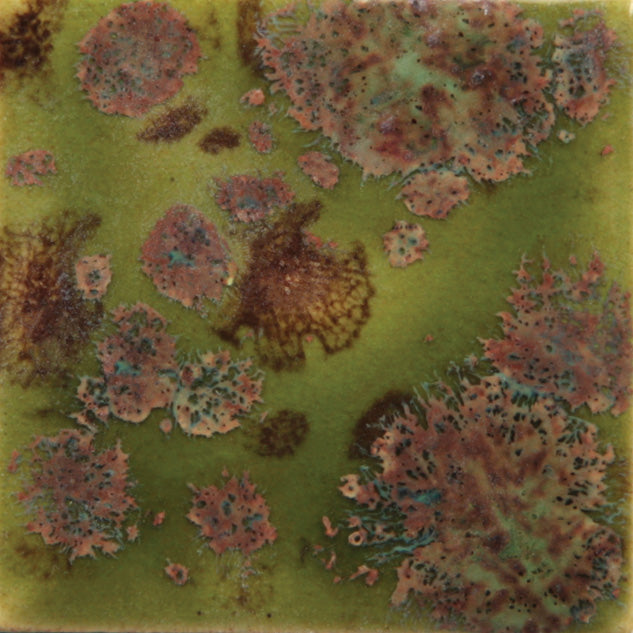 Assorted Jungle Gems - 4 oz. Samples