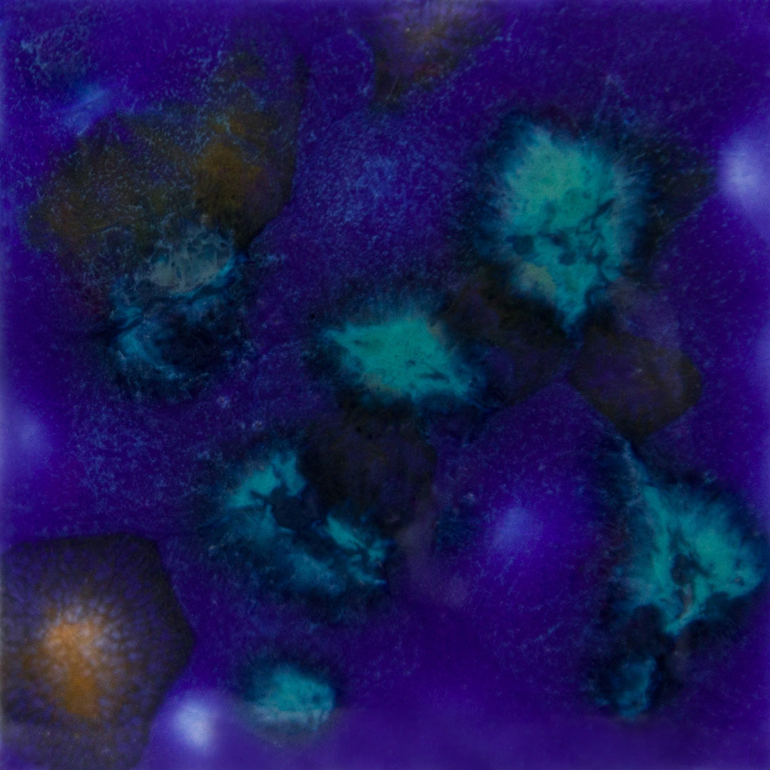 Assorted Jungle Gems - 4 oz. Samples