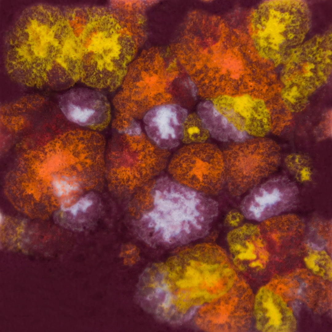 Assorted Jungle Gems - 4 oz. Samples