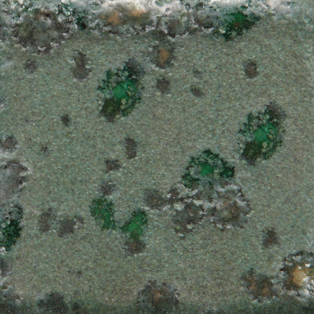 Assorted Jungle Gems - 4 oz. Samples