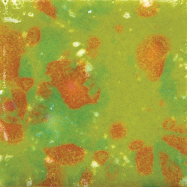 Assorted Jungle Gems - 4 oz. Samples