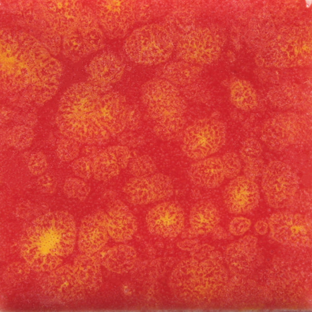Assorted Jungle Gems - 4 oz. Samples