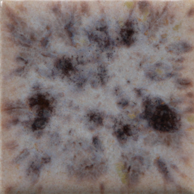 Assorted Jungle Gems - 4 oz. Samples