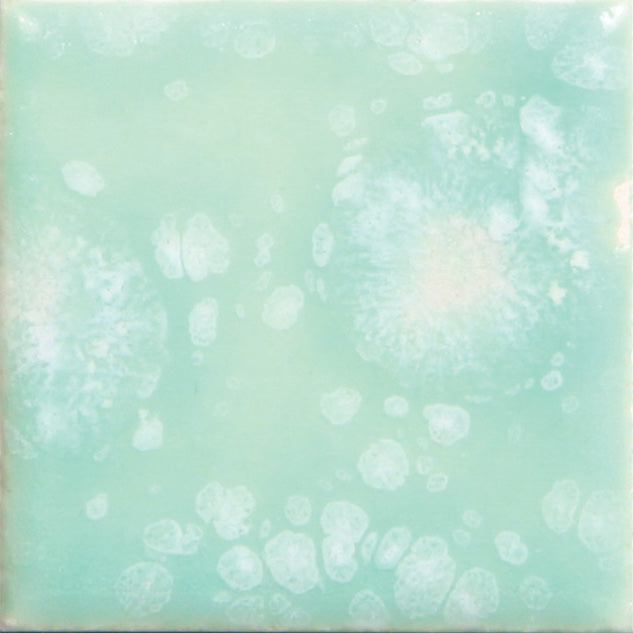 Assorted Jungle Gems - 4 oz. Samples