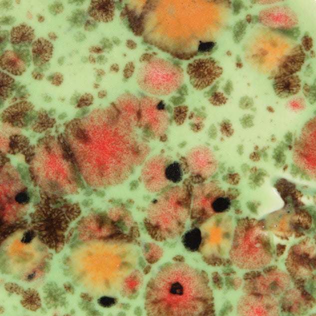 Assorted Jungle Gems - 4 oz. Samples