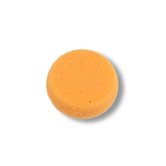 Hydra Sponge - Great White North Pottery Supplies