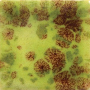 Assorted Jungle Gems - 4 oz. Samples