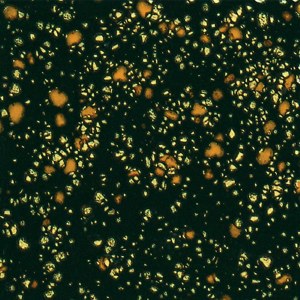 798 Black Iris Jungle Gem