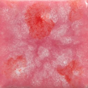 Assorted Jungle Gems - 4 oz. Samples