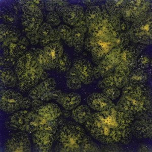 990 Starry Night Jungle Gem