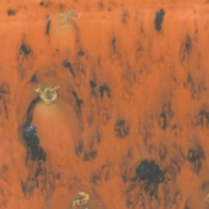 Assorted Jungle Gems - 4 oz. Samples