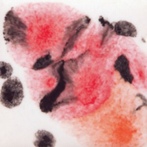 2727 Poppy Fields Jungle Gem