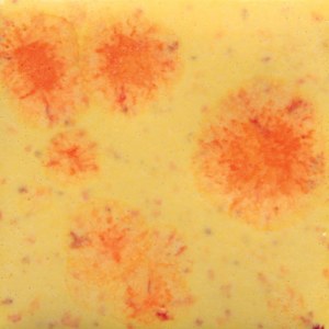 2729 Citrus Splash Jungle Gem