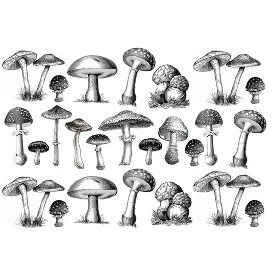 Mushroom
