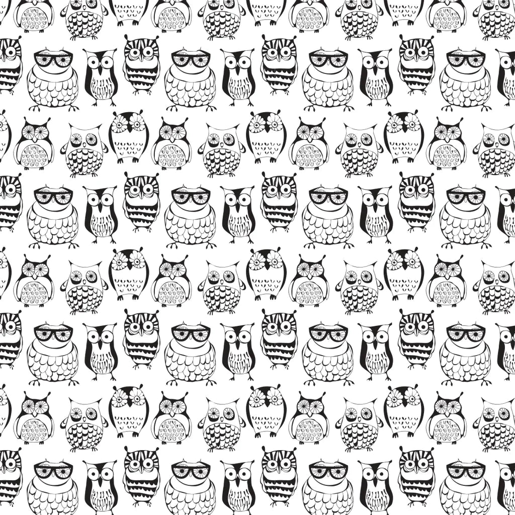 Owls