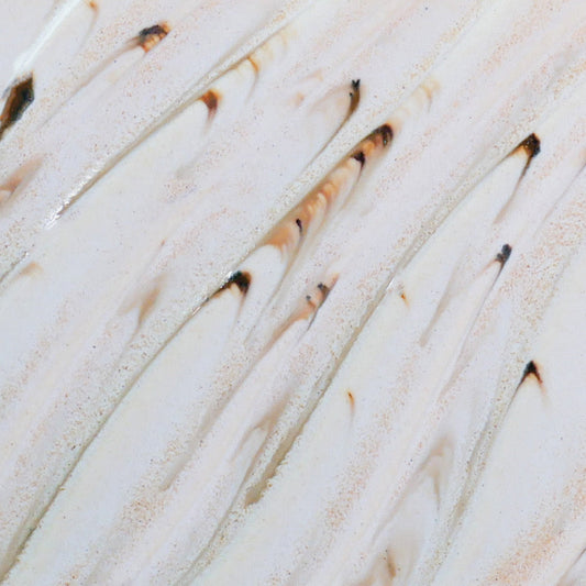 River Birch PCF-74