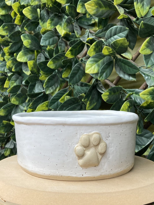 Pet Dish Workshop with Tanis