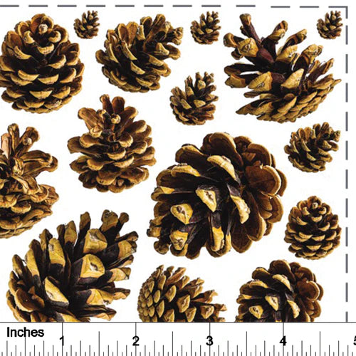 Pinecones Overglaze Decal