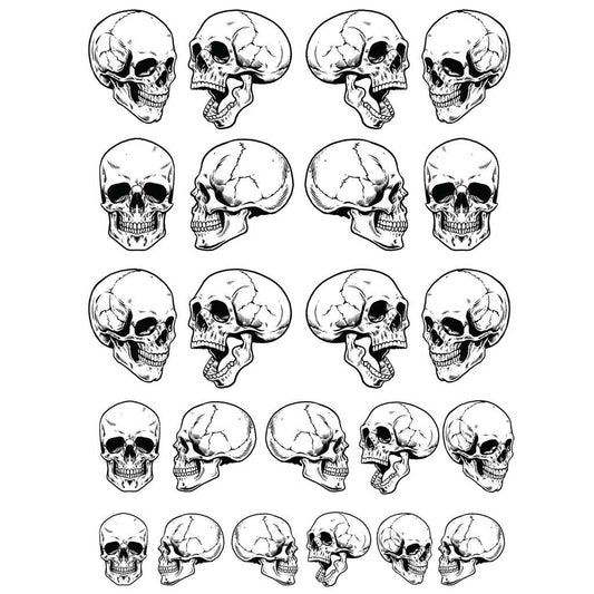 Skull