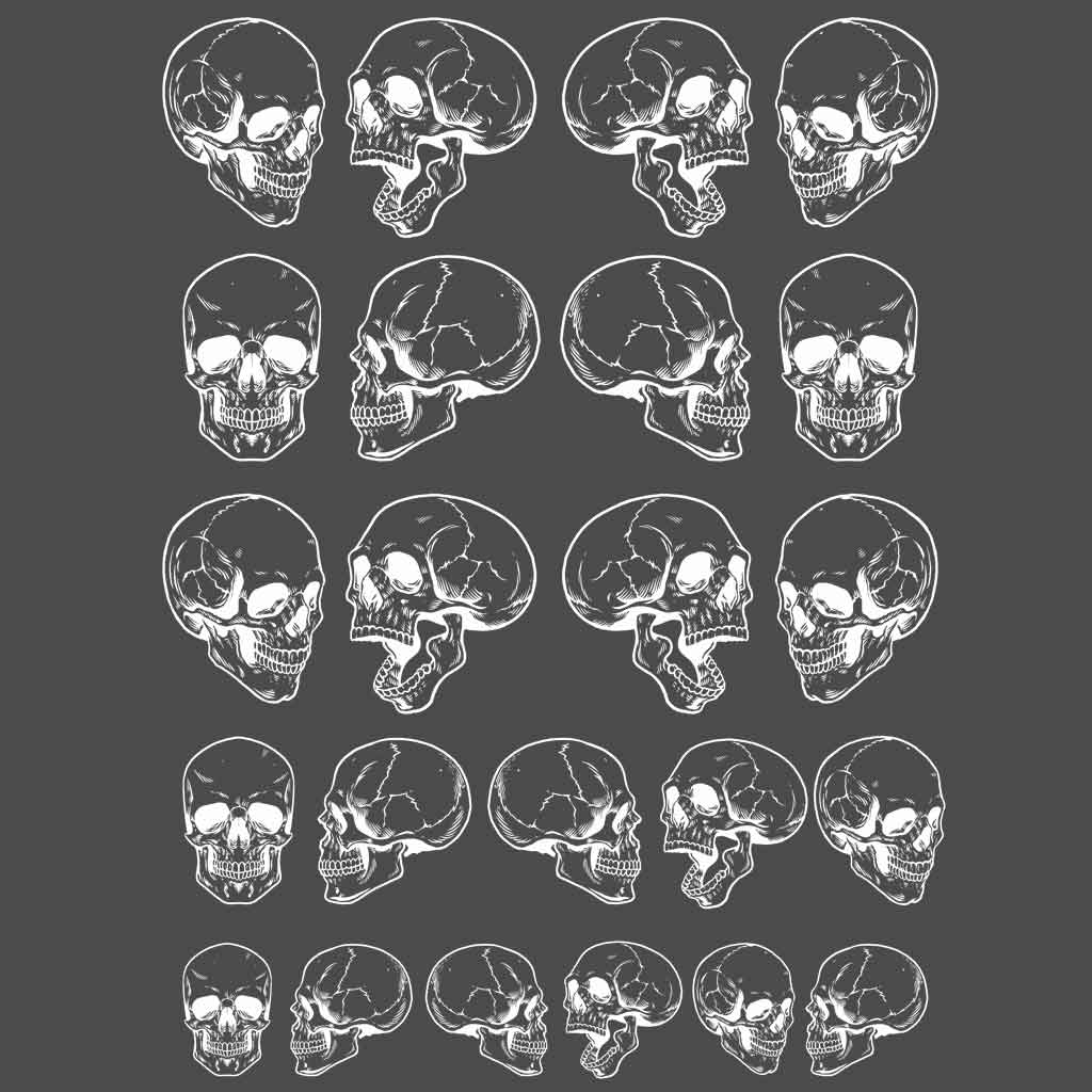 Skull