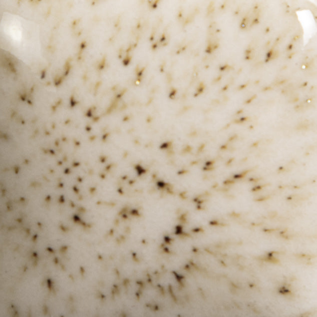 SG-701 Speckta-Clear Star Dust