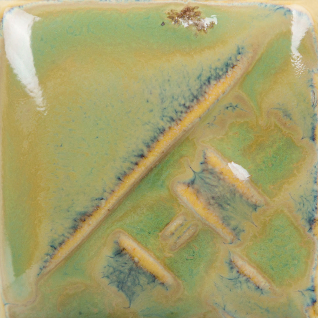 SW-228 Beetle Wing