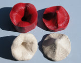 Flower Press Mold (two-sided)