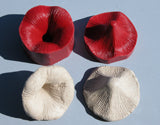 Two-sided Silicon Flower Press Mold