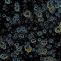 786 Obsidian Jungle Gem - Great White North Pottery Supplies