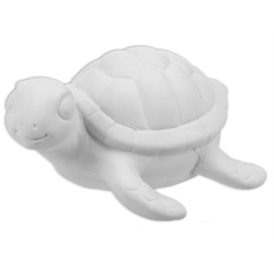 Sammy Sea Turtle