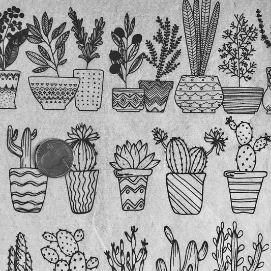 Potted Plants