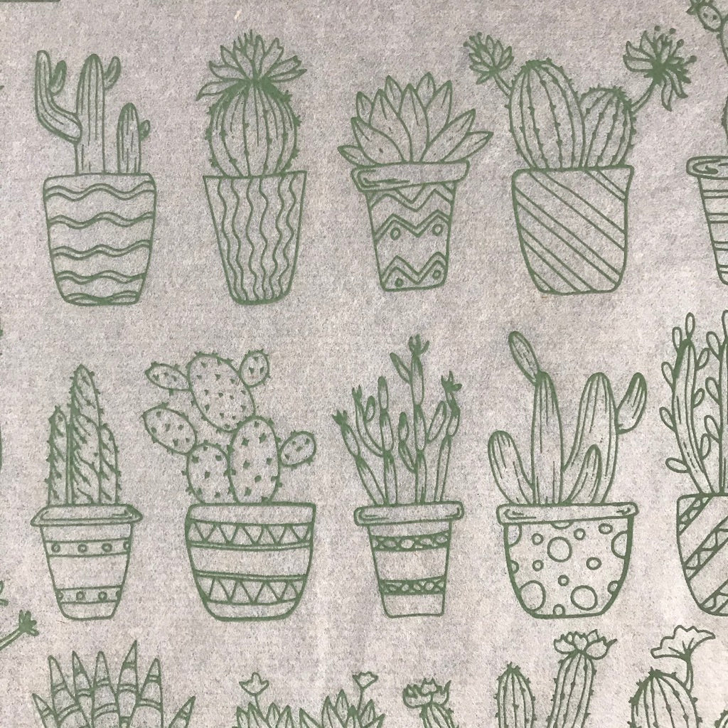 Potted Plants