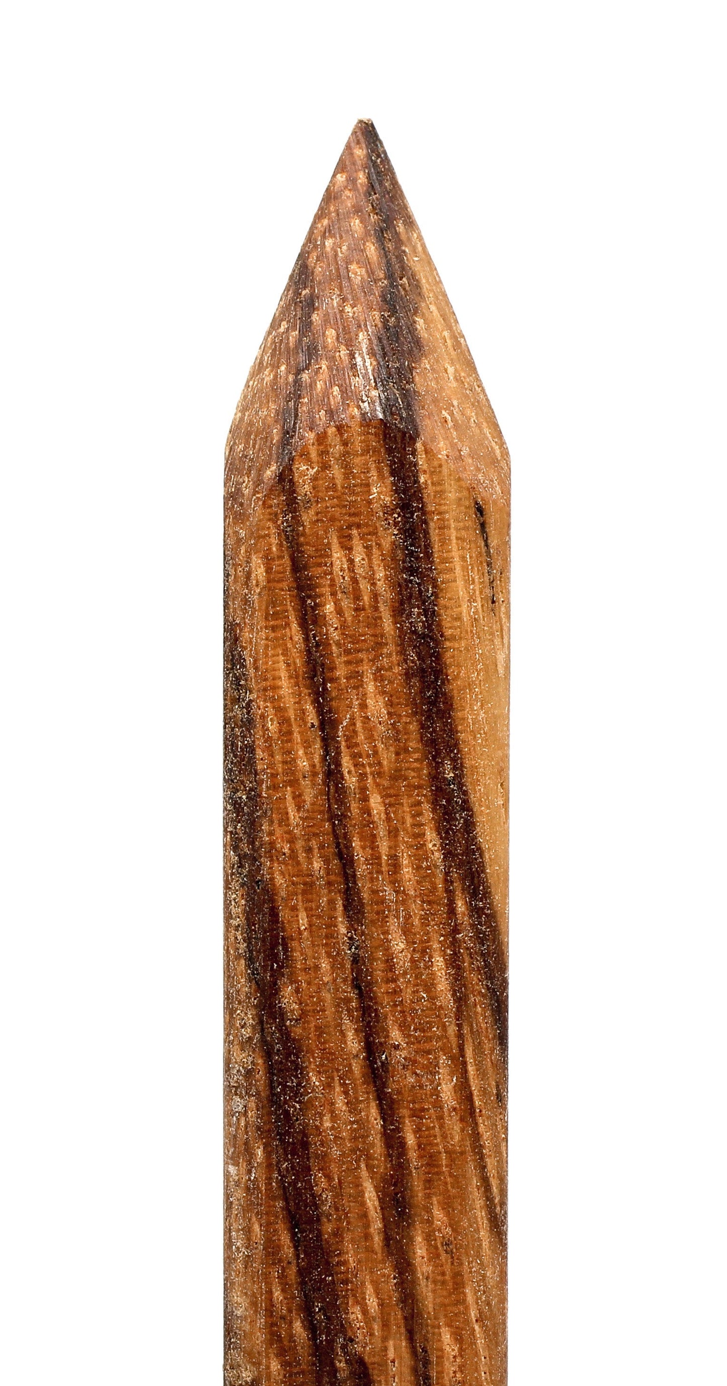 T2 Arc Pottery Trimming Tool