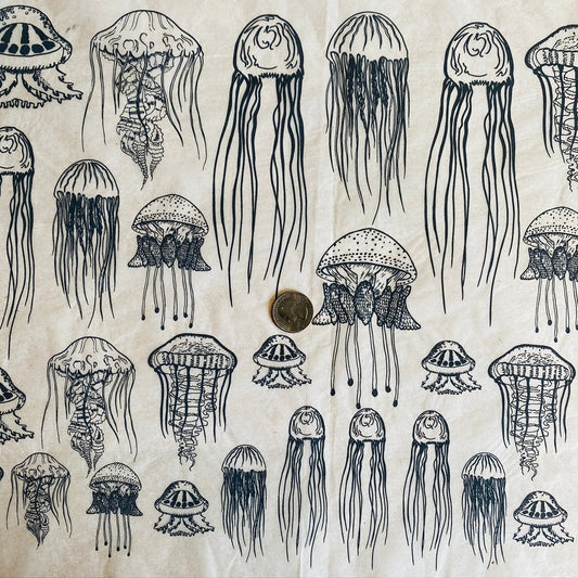 Jellyfish